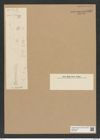 Diatomeae indet. (de-Toni-Nr.: Species 5002 var., 2021 var. } ?) Zeichnungen Sammlung Grunow Nr. 8927 (NHMW-BOT-W0378601)